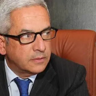 Ex Legnochimica, il comune è rimasto «inerte»: la Procura ricorre contro il sindaco -VIDEO