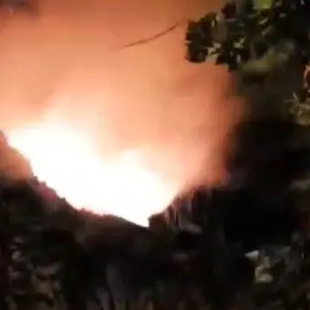 Incendiato albero secolare a Chiaravalle