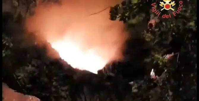 Incendiato albero secolare a Chiaravalle