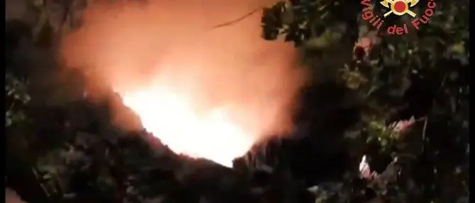 Incendiato albero secolare a Chiaravalle