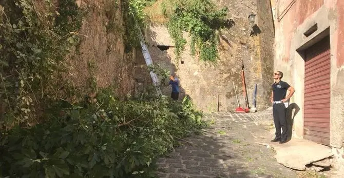 Cosenza vecchia, avviato il piano di ripopolamento