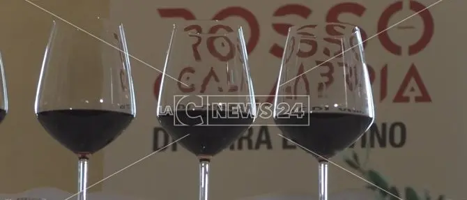 Cirò capitale calabrese del vino e dell'Enoteca Regionale