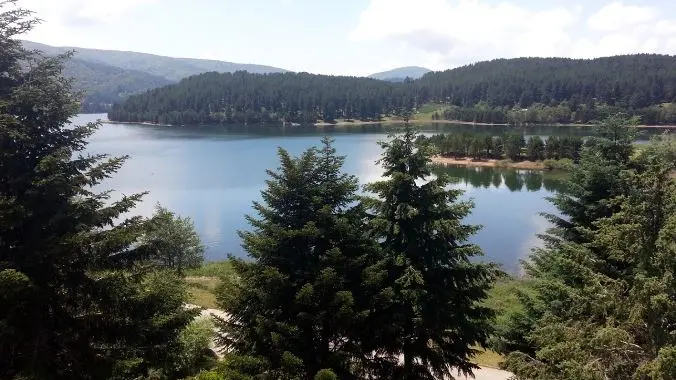 SPORT E TURISMO | A Lorica la Nazionale di canottaggio si allena sul lago Arvo - VIDEO