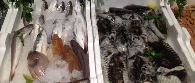 Controlli in 18 pescherie di Lamezia, sanzioni e sequestri merce