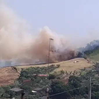 Vasto fronte di fuoco a Catanzaro: in fumo oltre due ettari di macchia mediterranea