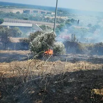 Incendio divampa tra Copanello e Squillace, invasa la statale 106