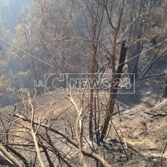 Catanzaro, da due giorni brucia la collina di Stalettì