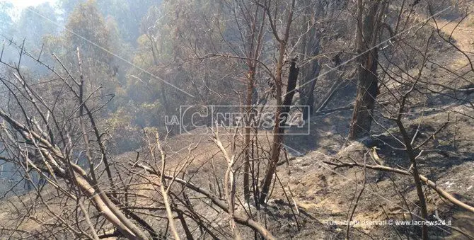 Catanzaro, da due giorni brucia la collina di Stalettì