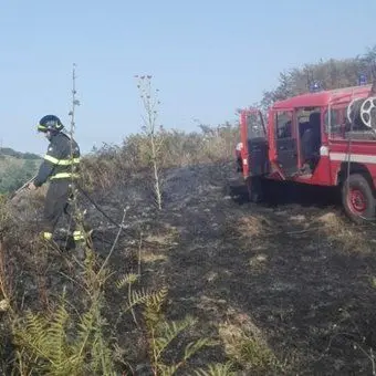 Brucia il Catanzarese: numerosi interventi dei vigili del fuoco