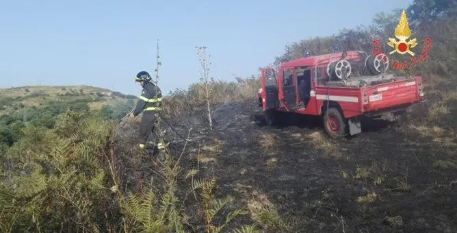 Brucia il Catanzarese: numerosi interventi dei vigili del fuoco