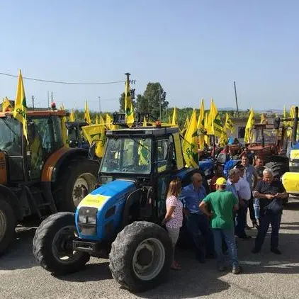Statale 106, il braccio di ferro sul più grande cantiere d’Italia - VIDEO