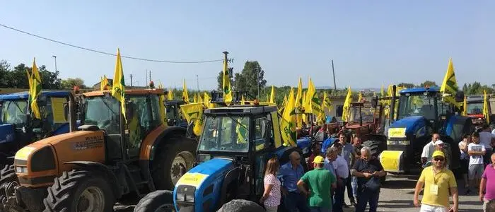 Statale 106, il braccio di ferro sul più grande cantiere d’Italia - VIDEO