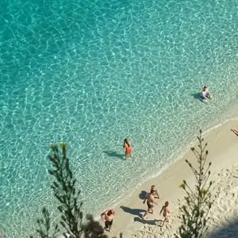 «Il mare in Calabria gode di ottima salute» -VIDEO