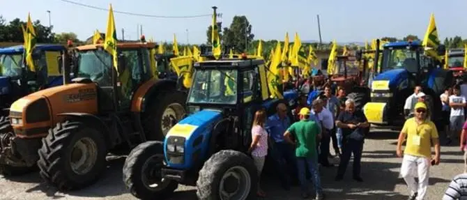 Furti agricoli, la Coldiretti Calabria lancia l'allarme