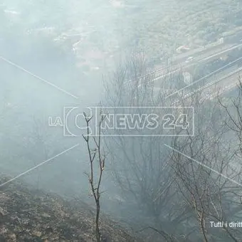 Incendio minaccia abitazioni a Squillace, disagi alla circolazione