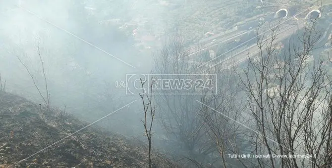 Incendio minaccia abitazioni a Squillace, disagi alla circolazione