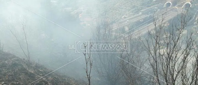 Incendio minaccia abitazioni a Squillace, disagi alla circolazione