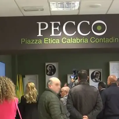 L’interdittiva antimafia e le ombre sul colosso che ha inaugurato “Pecco” alla Cittadella