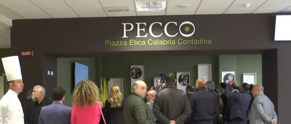 L’interdittiva antimafia e le ombre sul colosso che ha inaugurato “Pecco” alla Cittadella