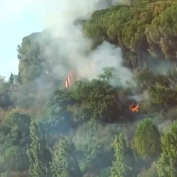 Calabria Verde, al via la nuova campagna antincendi - VIDEO