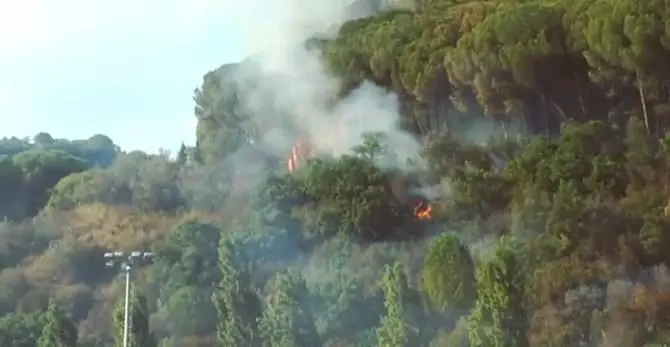 Calabria Verde, al via la nuova campagna antincendi - VIDEO