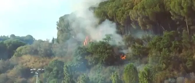 Calabria Verde, al via la nuova campagna antincendi - VIDEO