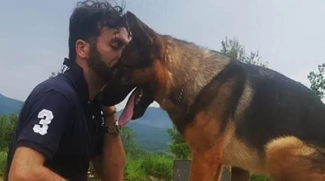 Avvelenato Kaos, il cane eroe di Amatrice