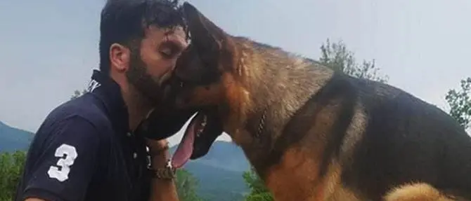 Avvelenato Kaos, il cane eroe di Amatrice
