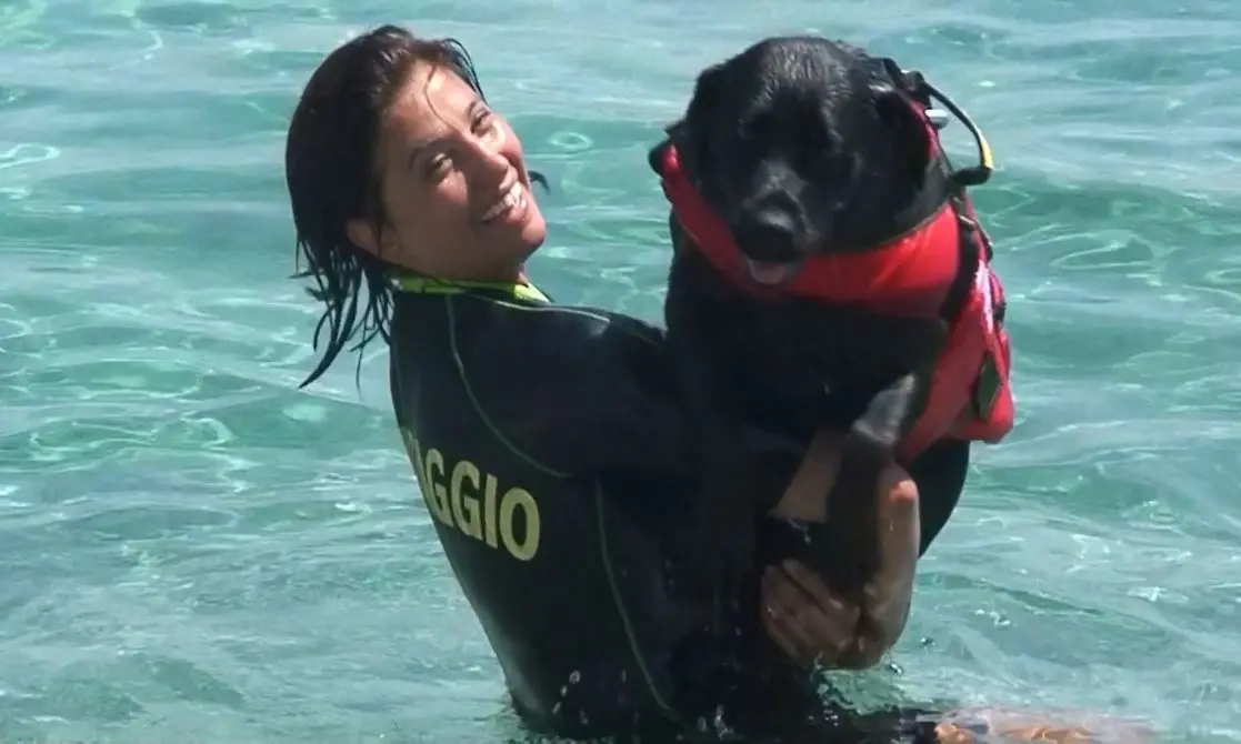 Spiagge più sicure grazie agli amici a quattro zampe