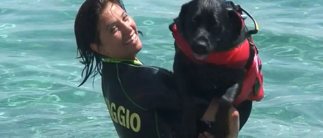 Spiagge più sicure grazie agli amici a quattro zampe