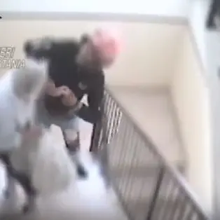 Rompe dito ad un'anziana per rubarle la fede: arrestato - VIDEO