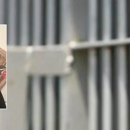 La criminologa e il tentativo (fallito) di far scarcerare il boss Teodoro Crea