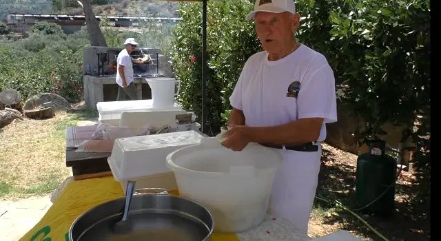 Filiera agroalimentare, Coldiretti punta sul latte di capra calabrese - VIDEO