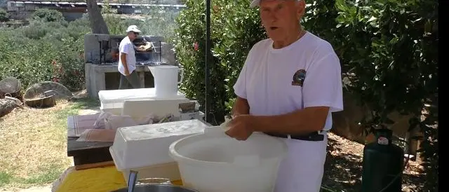 Filiera agroalimentare, Coldiretti punta sul latte di capra calabrese - VIDEO