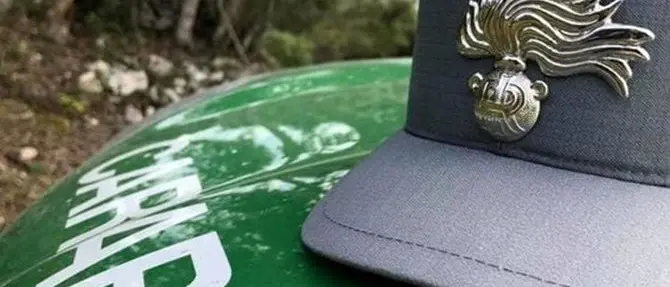Notte bianca della biodiversità organizzata dai carabinieri