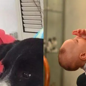 Brancaleone, la dinamica: la bimba scappa e il fratellino l'insegue, poi l'impatto col treno