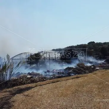 Vasto incendio a Davoli, in pericolo numerose aziende agricole