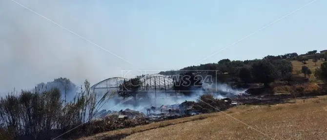 Vasto incendio a Davoli, in pericolo numerose aziende agricole