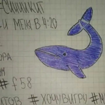 Torna l’incubo Blue Whale: ragazza soccorsa nel Brindisino