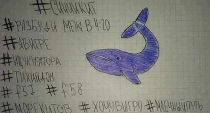 Torna l’incubo Blue Whale: ragazza soccorsa nel Brindisino