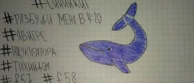 Torna l’incubo Blue Whale: ragazza soccorsa nel Brindisino