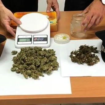 Operazioni anti-droga nel catanzarese, un arresto e una denuncia