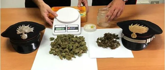 Operazioni anti-droga nel catanzarese, un arresto e una denuncia