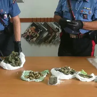 Detenzione e spaccio di droga, arrestati un minore e un ventenne
