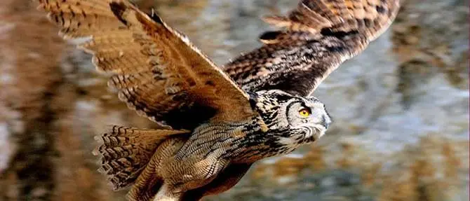 Un successo la Notte Bianca della Biodiversità