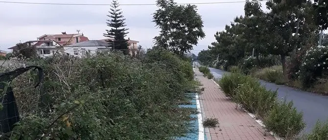 Lamezia, la denuncia di Branca (Lega): «L’incuria regna sovrana in città»