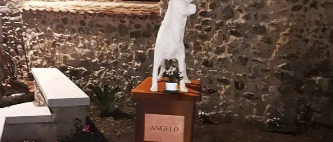 Cane seviziato e ucciso, a Montepaone inaugurata area verde