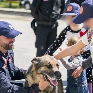 Morto Acrab, il pastore tedesco dell’Arma: «Non era solo un cane, era un collega da rispettare»