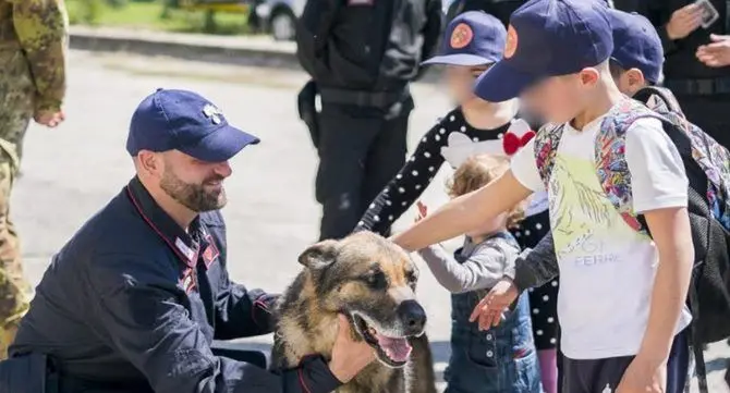 Morto Acrab, il pastore tedesco dell’Arma: «Non era solo un cane, era un collega da rispettare»