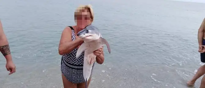 Piccolo squalo tra i bagnanti a Soverato tra selfie e polemiche
